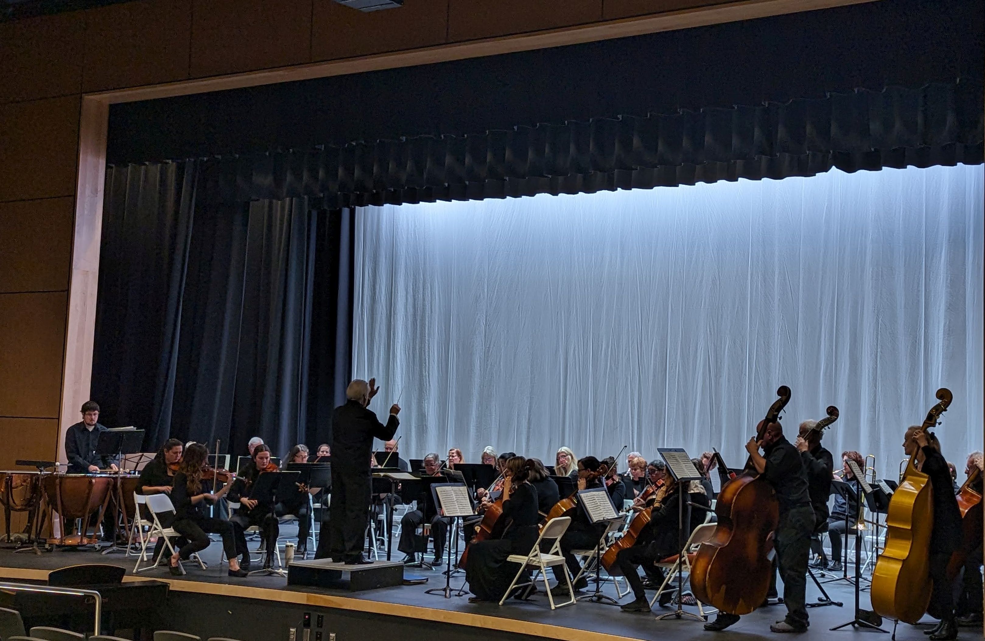The orchestra performing on November 11, 2023